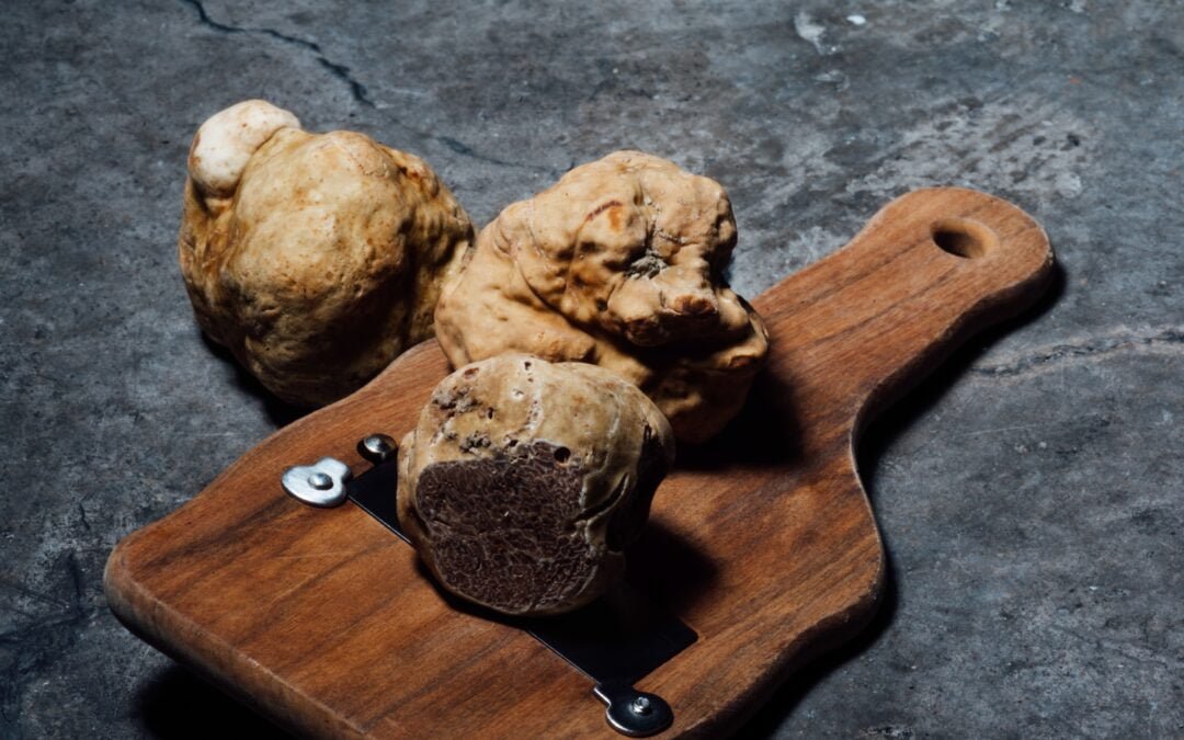 Parcours autour de la truffe
